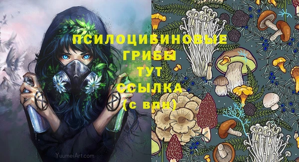 спиды Богородск