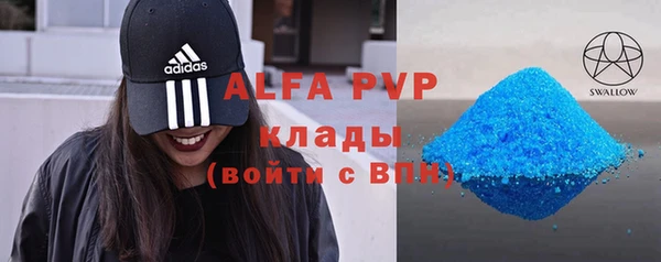 трава Белокуриха