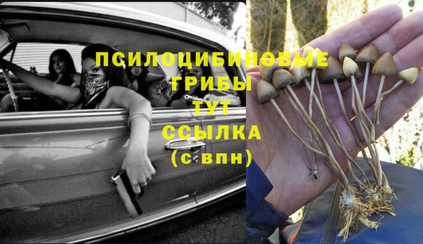 прущая мука Богданович