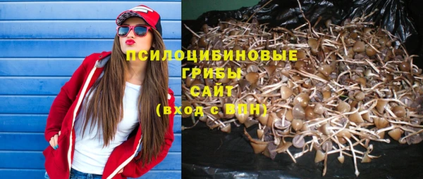 спиды Богородск