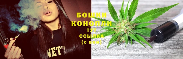 трава Белокуриха