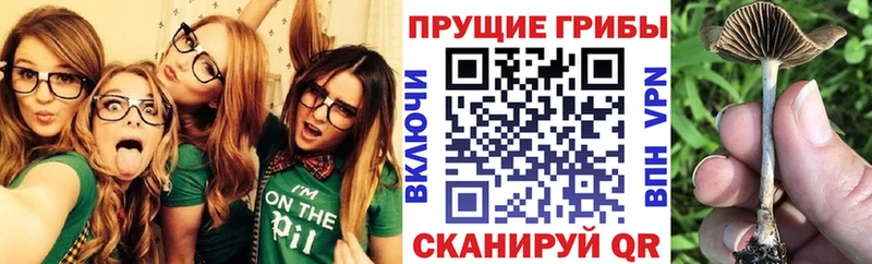 Псилоцибиновые грибы мухоморы  что такое   Маркс 