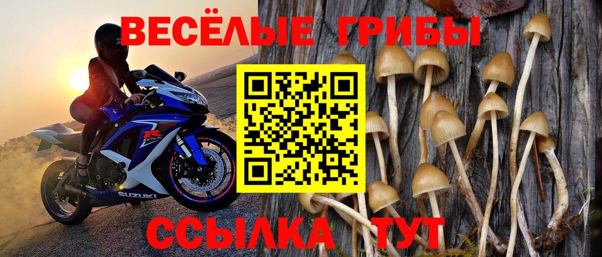 Маркс  Галлюциногенные грибы GOLDEN TEACHER  Вход с VPN 