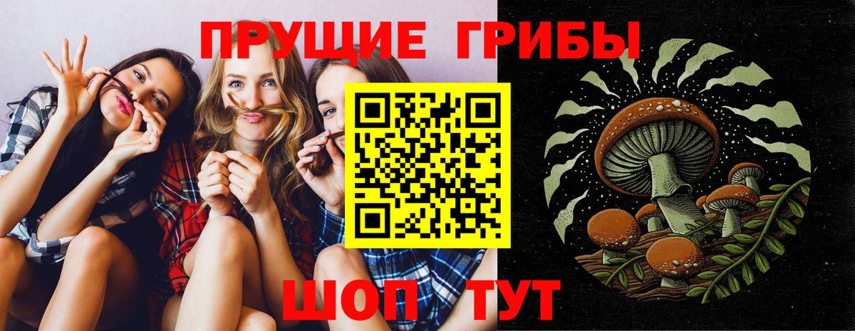 Галлюциногенные грибы Psilocybine cubensis Маркс
